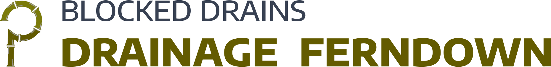 website logo